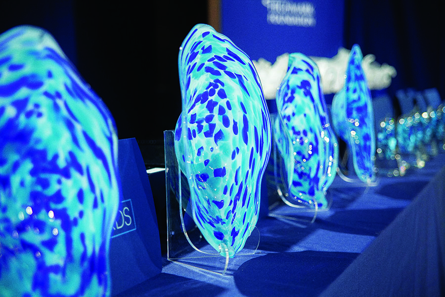 2024 Bright Blue Futures Awards
