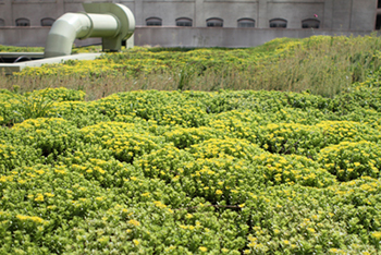 highmark's green roof is one of a kind