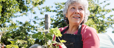 senior woman gardening